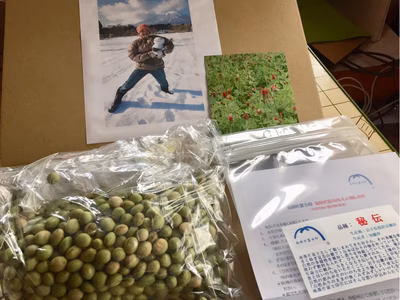 みんなの投稿の画像