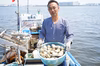 江戸前！天然ホンビノス貝(大:200g以上)船橋三番瀬産