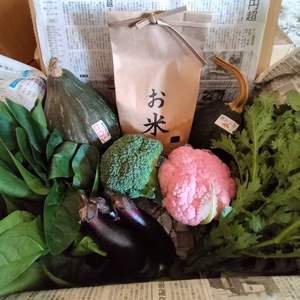 お米と新鮮野菜セットA（米2kg、５種類以上）