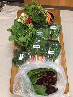 みんなの投稿の画像