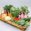 有機JAS認証　有機野菜　定期便　オーガニック 野菜セット