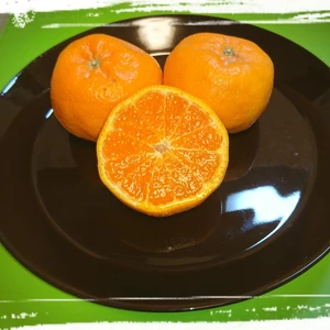 手で剥けるオレンジ 【西南のひかり】