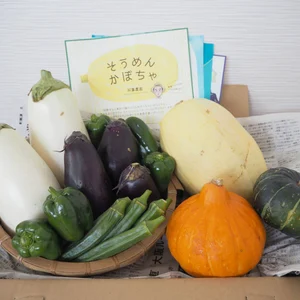 【9月限定】野菜ソムリエが厳選したおまかせ野菜セット（規格外含む）