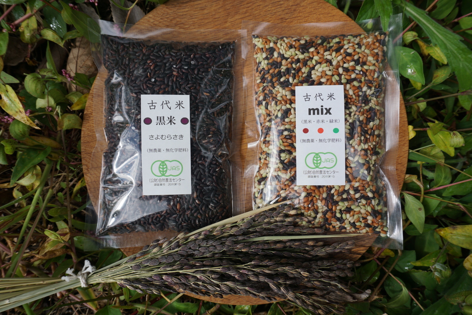 古代米ミックス＆黒米セット 農薬不使用 有機肥料使用 有機ＪＡＳ｜米