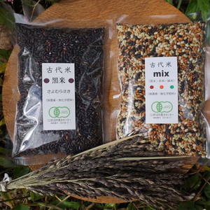 古代米ミックス＆黒米セット　農薬不使用　有機肥料使用　有機ＪＡＳ