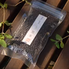 〈メール便〉黒大豆200g＋黒米2袋