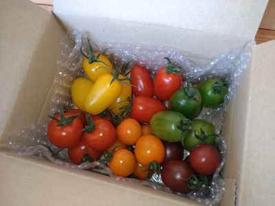 みんなの投稿の画像