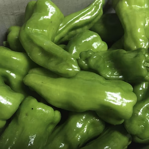 【送料無料】ピーマン！ピーマン！ピーマン！　１キロ