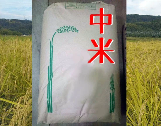 コシヒカリ 中米 30kg【まかない米】【訳あり】
