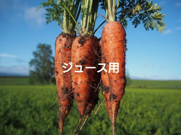 ジュース用『ぽっけのにんじん』北海道自然栽培