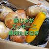 新じゃがとズッキーニと泉州玉ねぎのセット