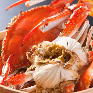 漁師直送！竹崎カニ　中3匹