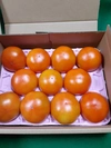 【希少】真冬のフルーツパプリカ(おまけ付き)とGABA(トマト)の２箱セット