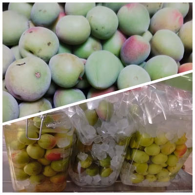 みんなの投稿の画像