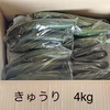 きゅうり　400g入りを10袋　計4kg  大阪府の小池農園より発送します。