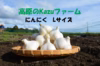信州八ヶ岳産　農薬・化学肥料栽培期間中不使用にんにく　
