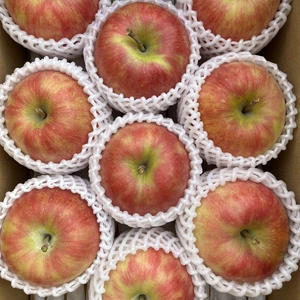 【9月発送】シャキ！パリッ！シナノドルチェ 約2kg～ 信州りんご 