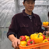 齊藤輝仁 | サイトウ農園