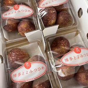 福岡県特産イチジク「とよみつひめ」