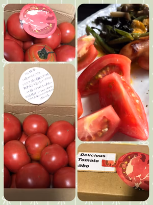 みんなの投稿の画像