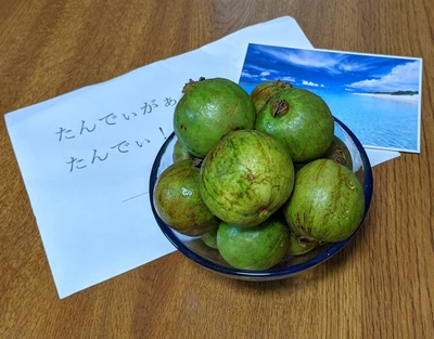 みんなの投稿の画像
