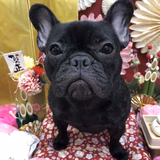 きいちゃん