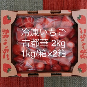 冷凍イチゴ 奈良県特産「古都華」2kg ☆クール冷凍便☆
