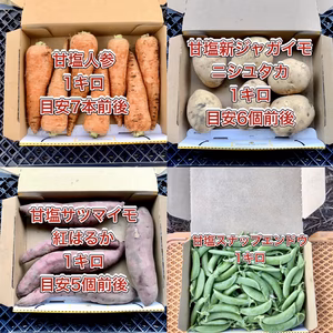 【鹿児島産】甘塩野菜セット4品目^_^