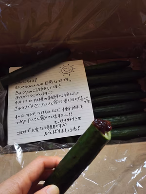 みんなの投稿の画像