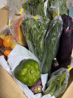 みんなの投稿の画像