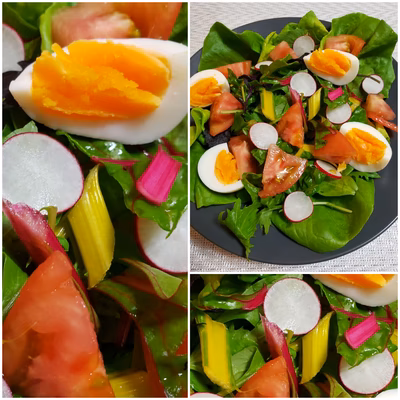 みんなの投稿の画像