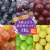 【送料無料】訳あり・規格外品 品種お任せぶどう詰合せセット