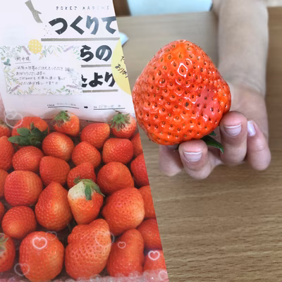 みんなの投稿の画像