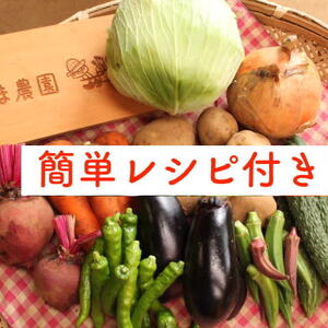夏【レシピ付】あるまま農園・無農薬野菜セット＜Lサイズ＞10品