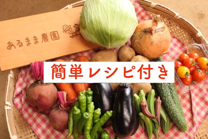 【レシピ付】あるまま農園・無農薬野菜セット＜Lサイズ＞7~10品