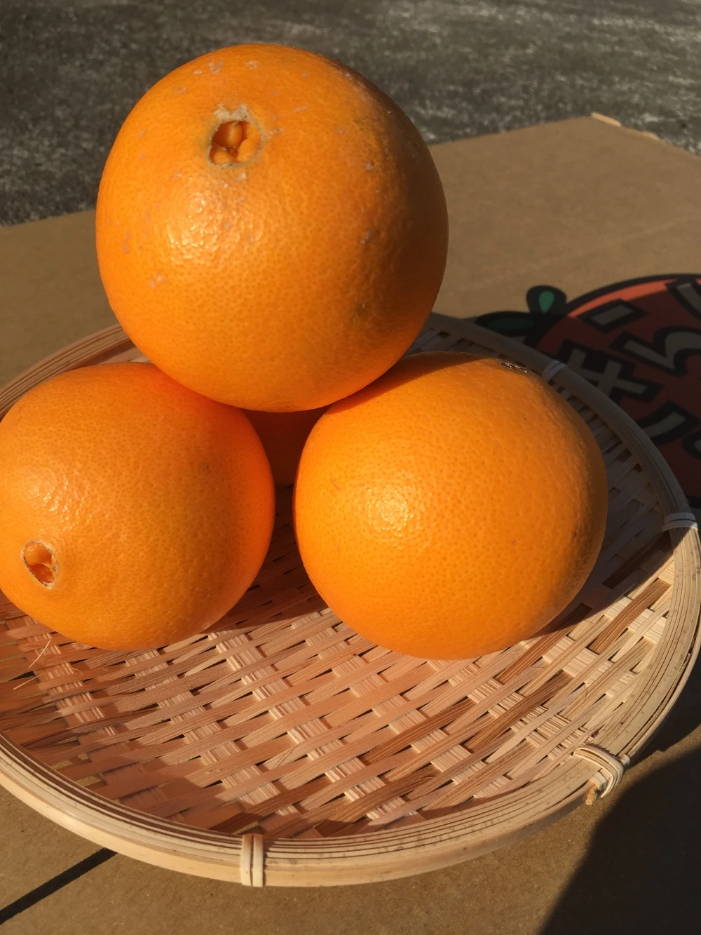 【産地直送】農家おすすめ柑橘詰め合わせセット