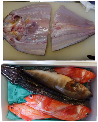 みんなの投稿の画像