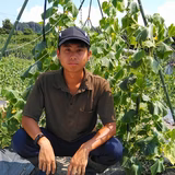 京谷和弥 | 京谷農園
