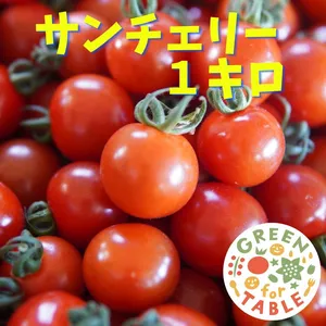 ミニトマト【サンチェリー】１キロ