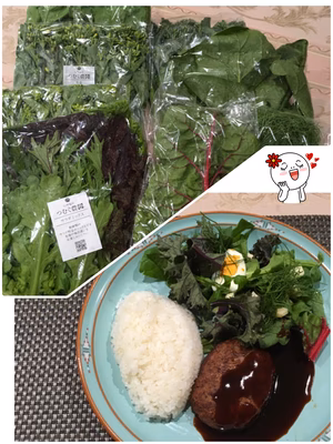 みんなの投稿の画像