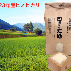 新米！ヒノヒカリ白米5kg　2024年度