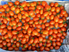 【クール冷蔵便】マウロの地中海トマト「シシリアンルージュ」(60サイズ箱)