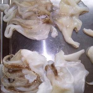 関門海峡産★イカの半端ですが良かったら食べてください～1箱のみ