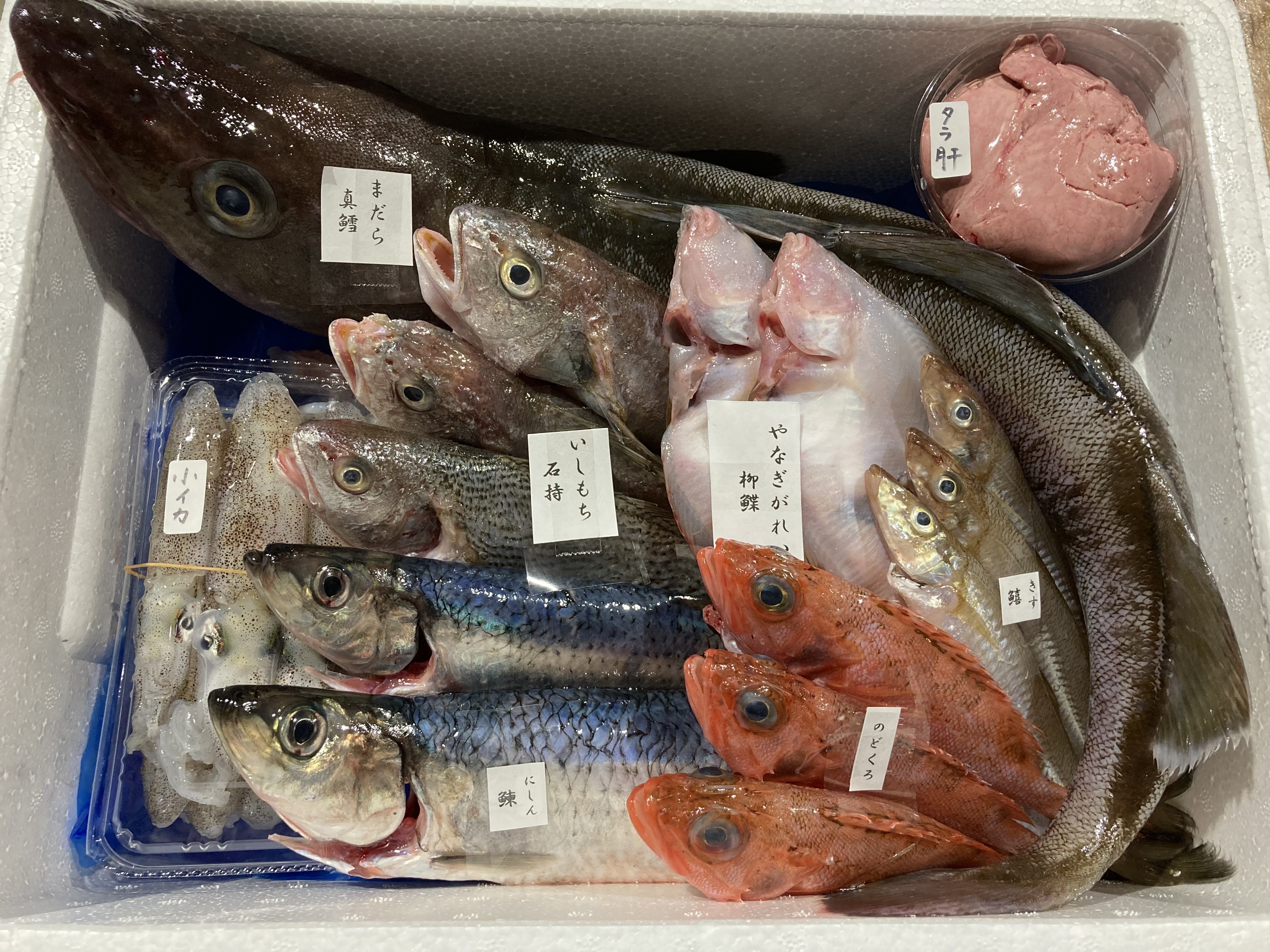 獲れたて直送 石巻の鮮魚詰め合わせ 大箱 農家漁師から産地直送の通販 ポケットマルシェ