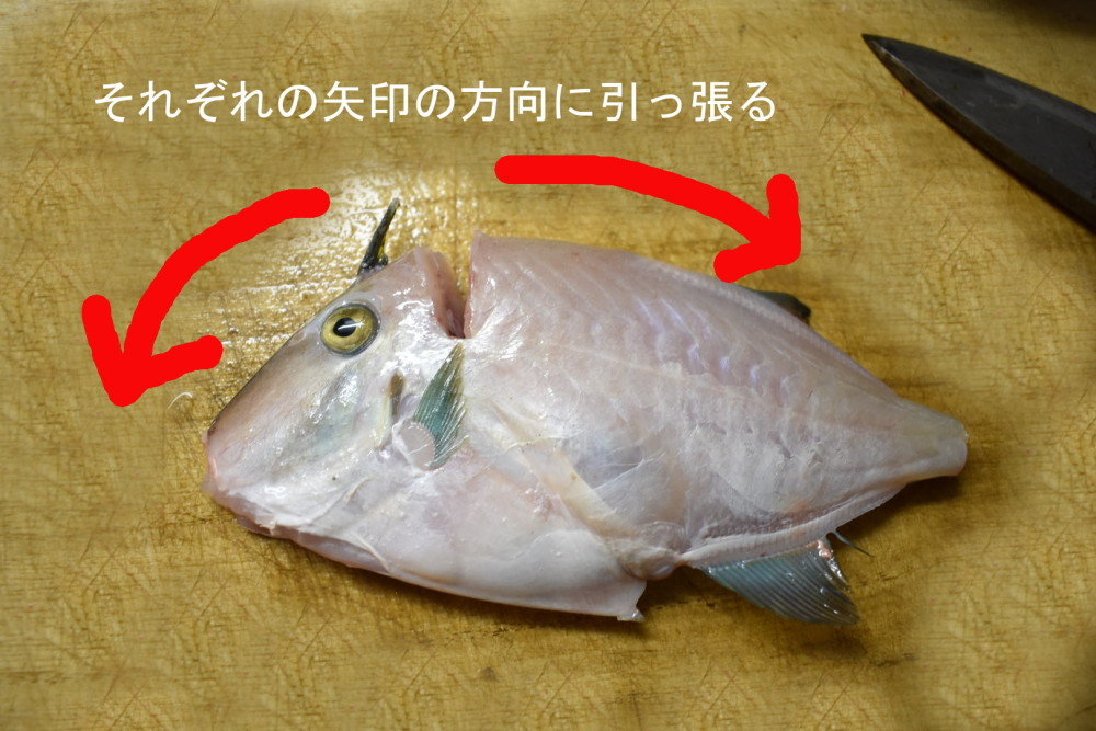 お魚が脱いだ 塩焼きから肝醤油まで 秋田の鮮魚三種を食べ比べ 農家漁師から産地直送の通販 ポケットマルシェ