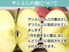  やわらかめ 信州産りんご サンふじ【小玉2～10㎏】 ボケりんご含む