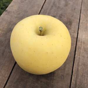 盛岡市産　完熟『はるか』３kg（１２玉）