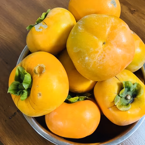 【自家製柿チップ加工用渋柿】訳あり佐渡産おけさ柿2.5kg