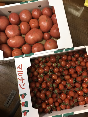 みんなの投稿の画像