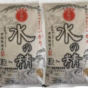 JAS認証 令和5年産 有機米 コシヒカリ 1,5kg〜 『水の精』